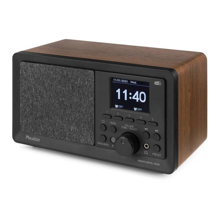 AUDIZIO Padova Digitalradio (Schwarz, Braun)