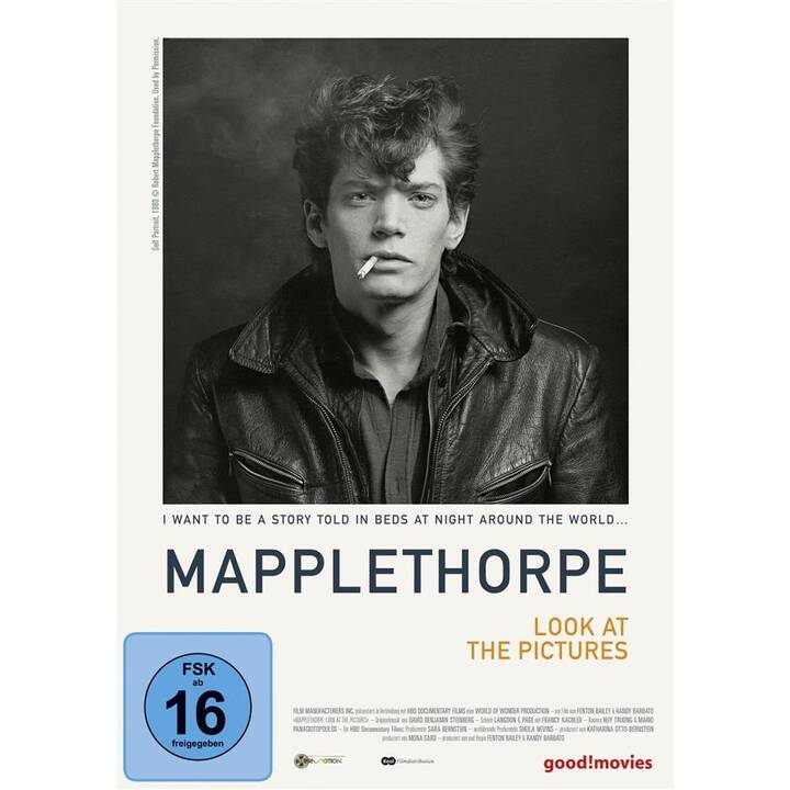 Mapplethorpe - Look at the Pictures (EN)
