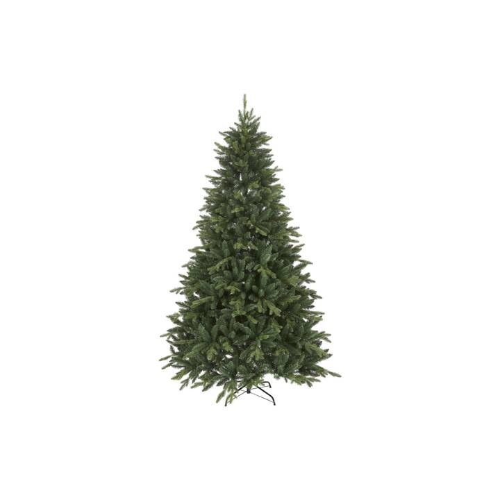 STAR TRADING Weihnachtsbaum (210 cm)