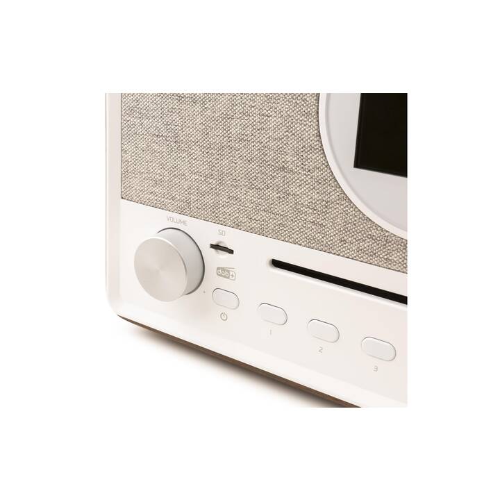 AUDIZIO Lucca  Digitalradio (Braun, Weiss)