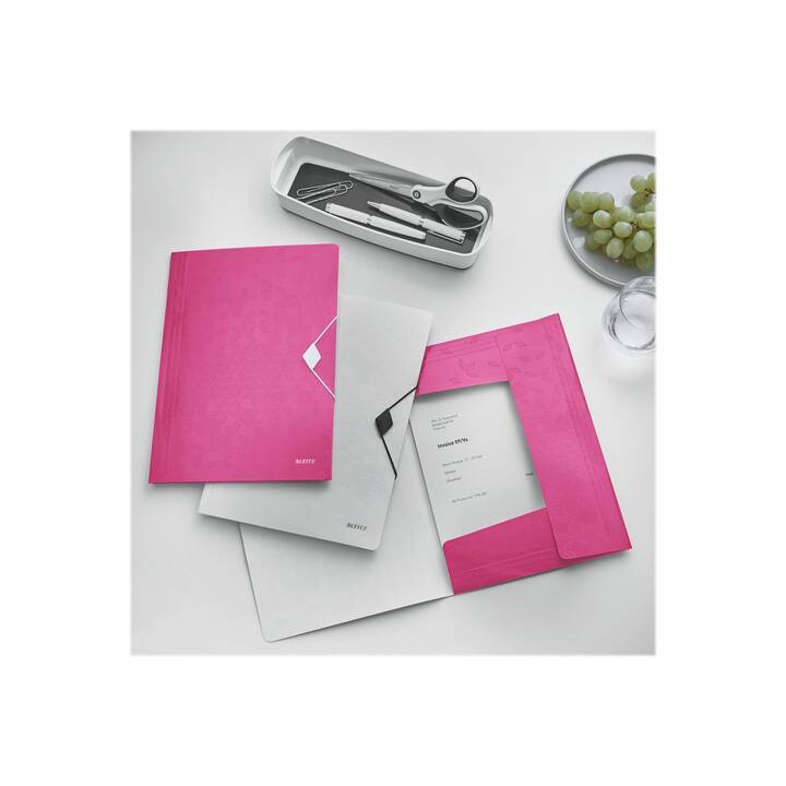 LEITZ Dossier d'organisation (Pink, A4, 1 pièce)