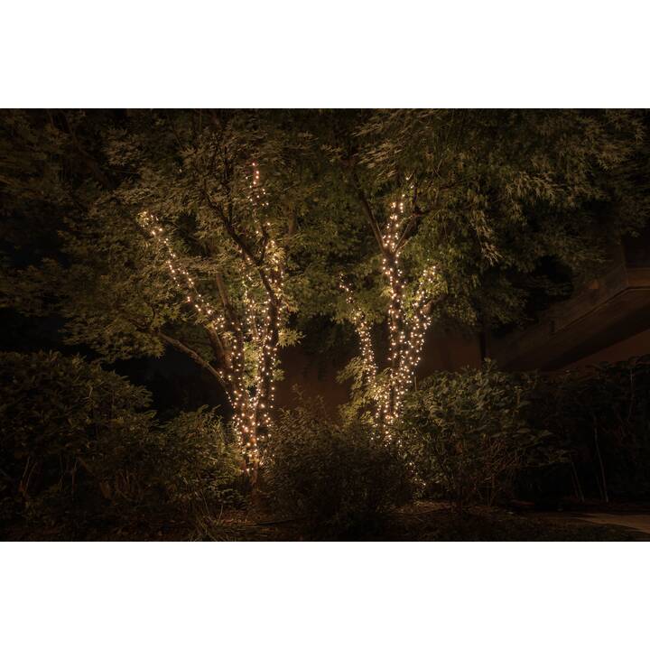 TWINKLY Ghirlanda di luci String (400 LEDs, 32 m)