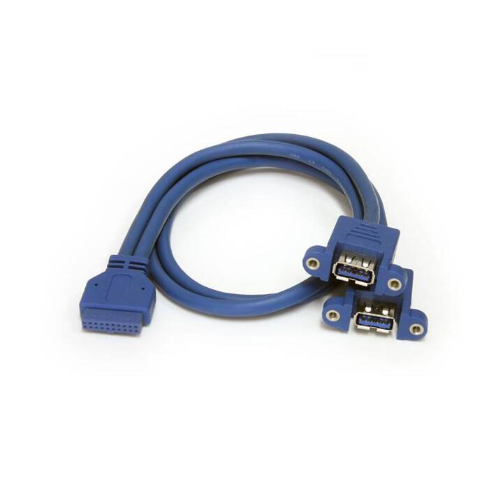 STARTECH.COM Câble d'entrée USB A vers carte mère, 50 cm