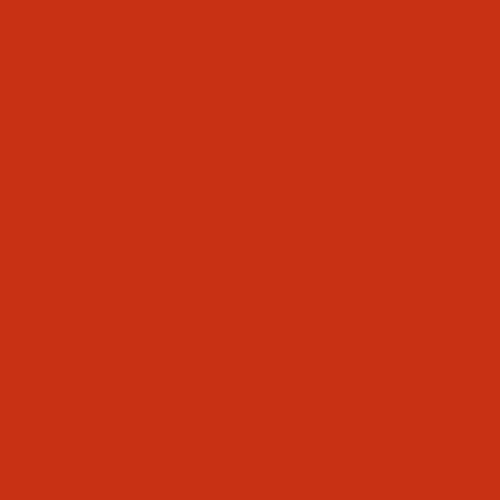 AMSTERDAM Colore acrilica Zinnoberrot (500 ml, Rosso)