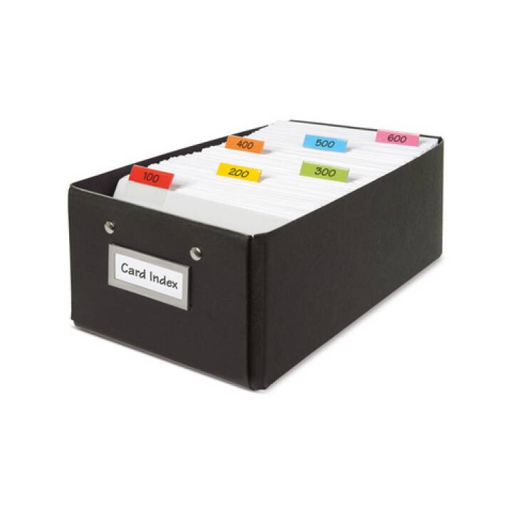 3L OFFICE Cartes-guides (Multicolore, 5 pièce)