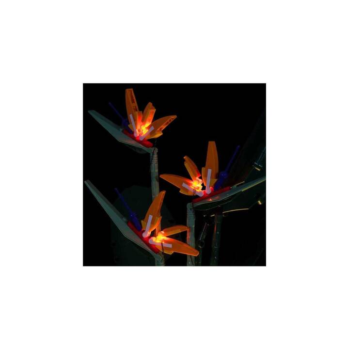LIGHT MY BRICKS Flower Bird of Paradies Set di luci LED (10289)