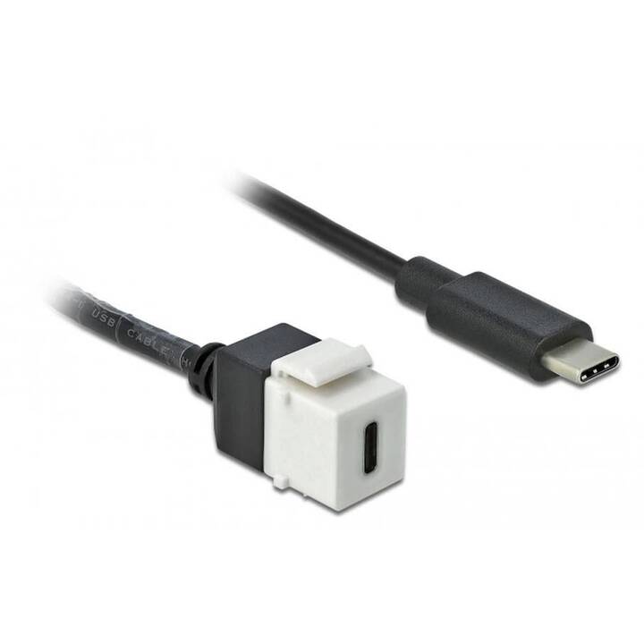 DELOCK 86399 Adaptateur (USB C, 24 Pin, USB de type C, 0.25 m)