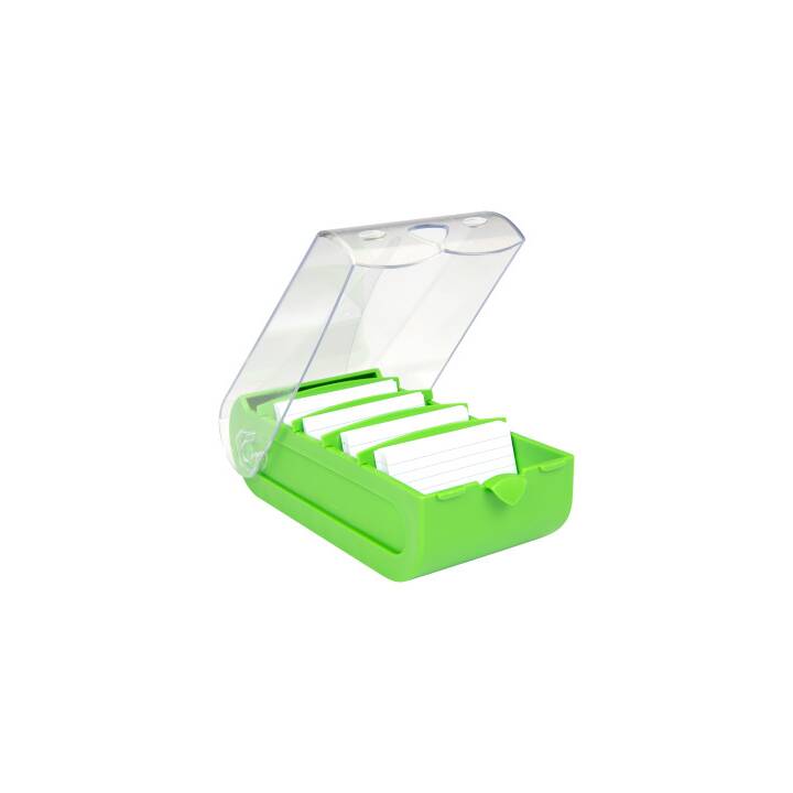 BIELLA Bunny Box Schedario (A8, Transparente, Verde, 1 pezzo)