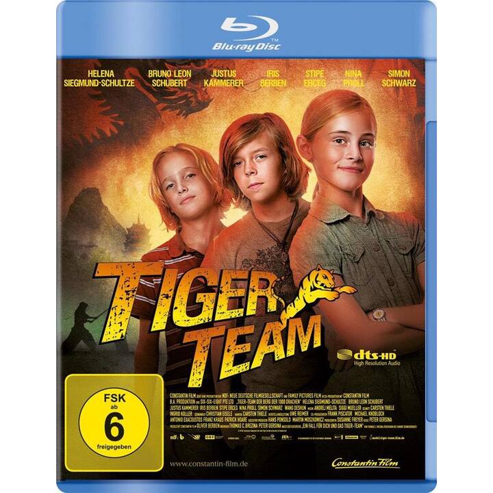 Tiger Team - Der Berg der 1000 Drachen (DE)