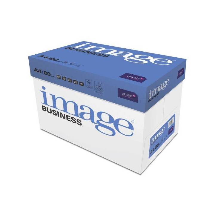 IMAGE Business Carta per copia (5 x 500 foglio, A4, 80 g/m2)
