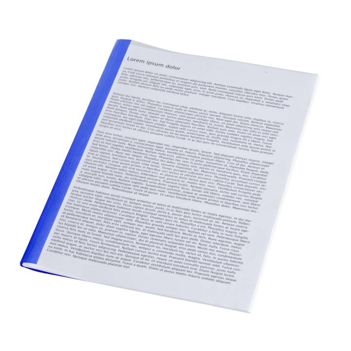 FELLOWES Cartellina trasparente (Blu, A4, 100 pezzo)