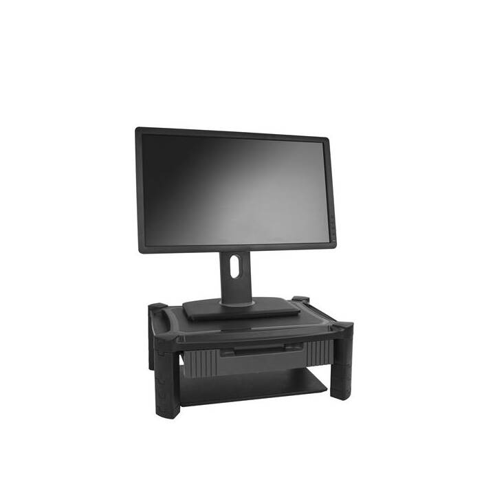 STARTECH.COM Standfuss (32 ")