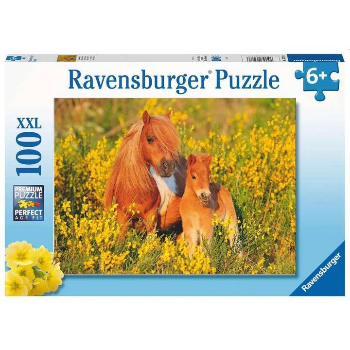 RAVENSBURGER Shetlandponys Puzzle (100 x)