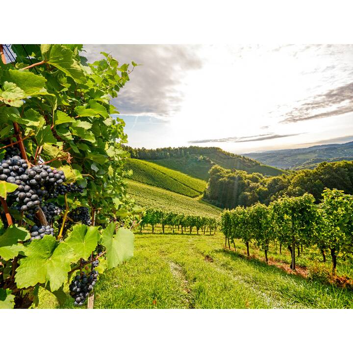 SMARTBOX Soggiorno e vini in Italia
