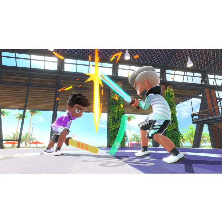 Switch Sports (FR)