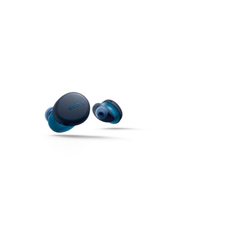 SONY WF-XB700 (In-Ear, Bluetooth 5.0, Bleu)