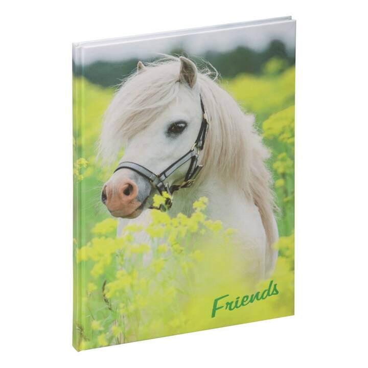 PAGNA Freundschaftsbuch (15 cm x 22 cm, Mehrfarbig)