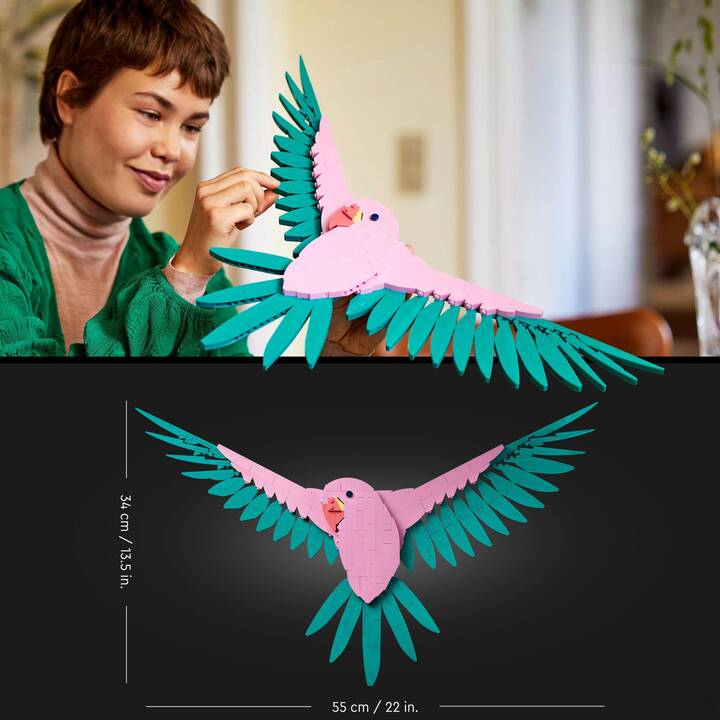 Image du produit 8