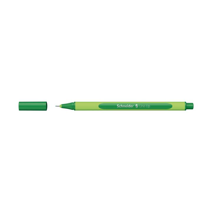 SCHNEIDER Line-Up 191004 Penna a fibra (Verde, 1 pezzo)