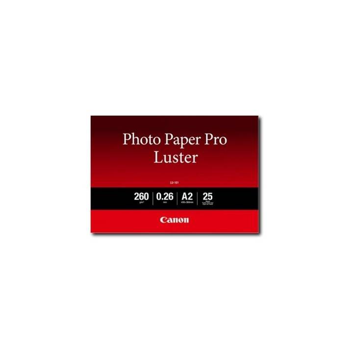 CANON Carta del plotter LU-101 (A2, 260 g/m2)