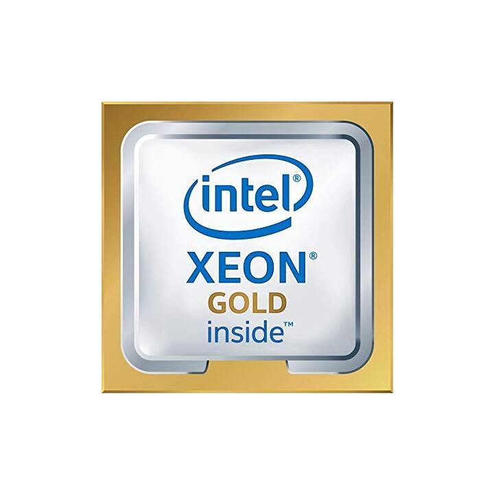 HEWLETT PACKARD ENTERPRISE Intel® Xeon® Gold 5215 (LGA 3647, 2.5 GHz)