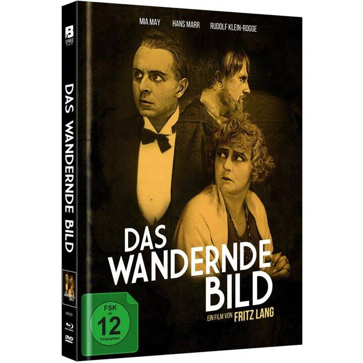 Das wandernde Bild (Limited Edition, Version cinéma, DE)