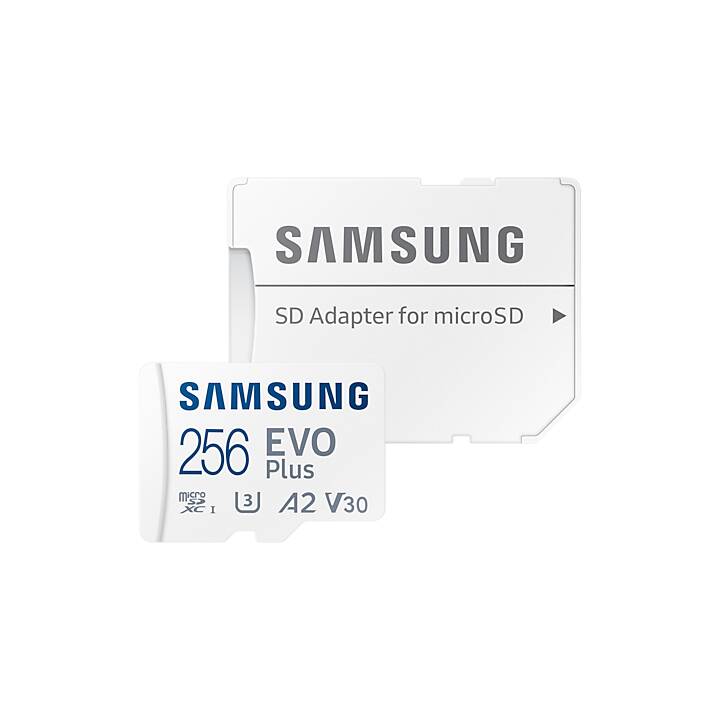 SAMSUNG MicroSDXC EVO Plus (Video Class 10, UHS-I Class 1, Class 10, A1, 256 GB, 130 MB/s)