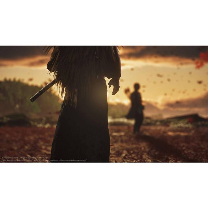 Ghost of Tsushima - Director’s Cut (DE, IT, FR)