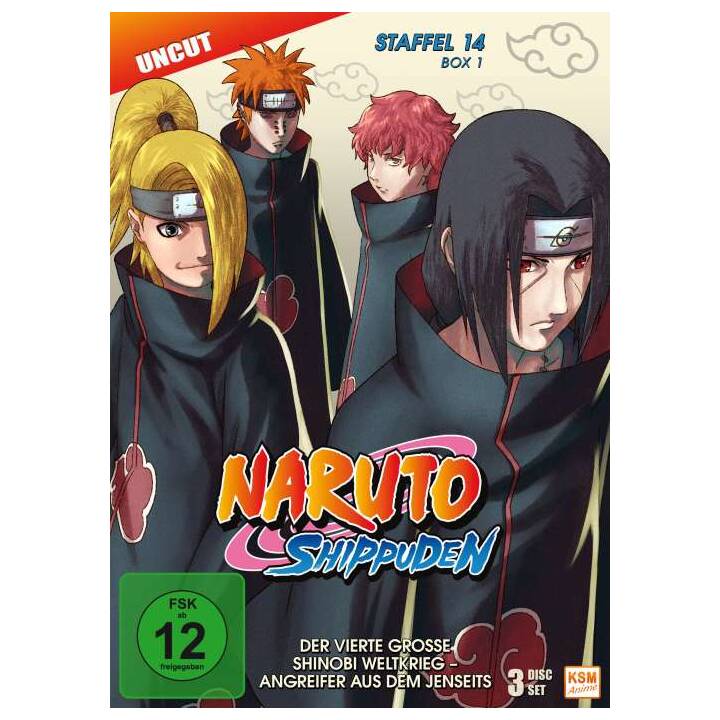 Naruto Shippuden Box 1 Saison 14 (DE, JA)
