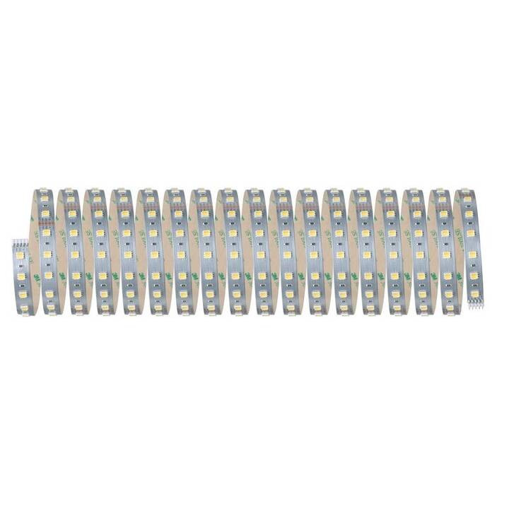 PAULMANN MaxLED LED Light-Strip (10 m)