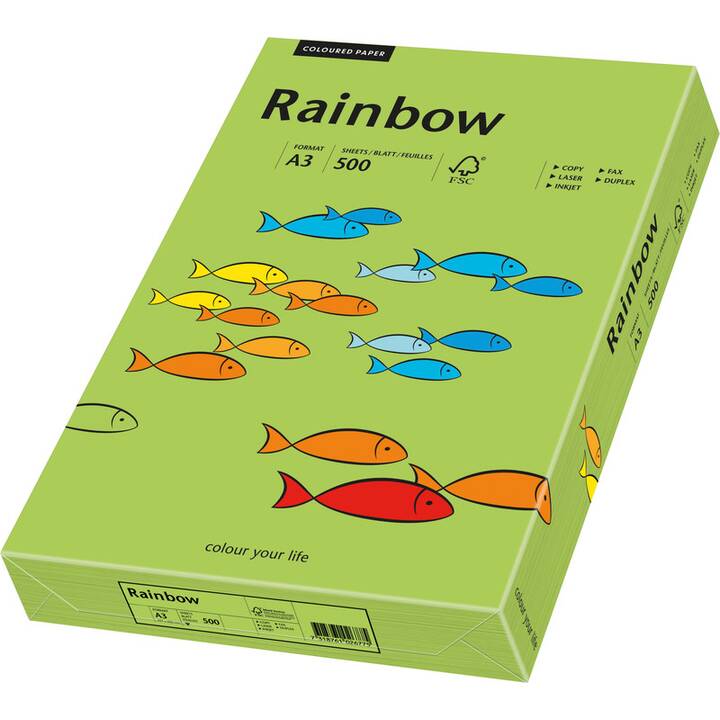 PAPYRUS Rainbow Papier Carta colorata (500 foglio, A3, 80 g/m2)