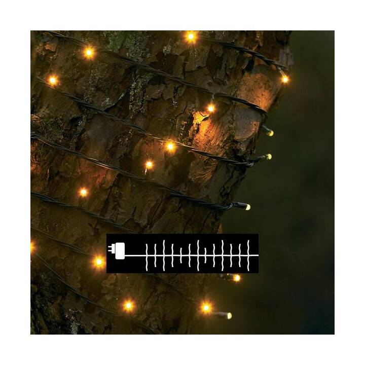 SIRIUS Ghirlanda di luci David (160 LEDs)