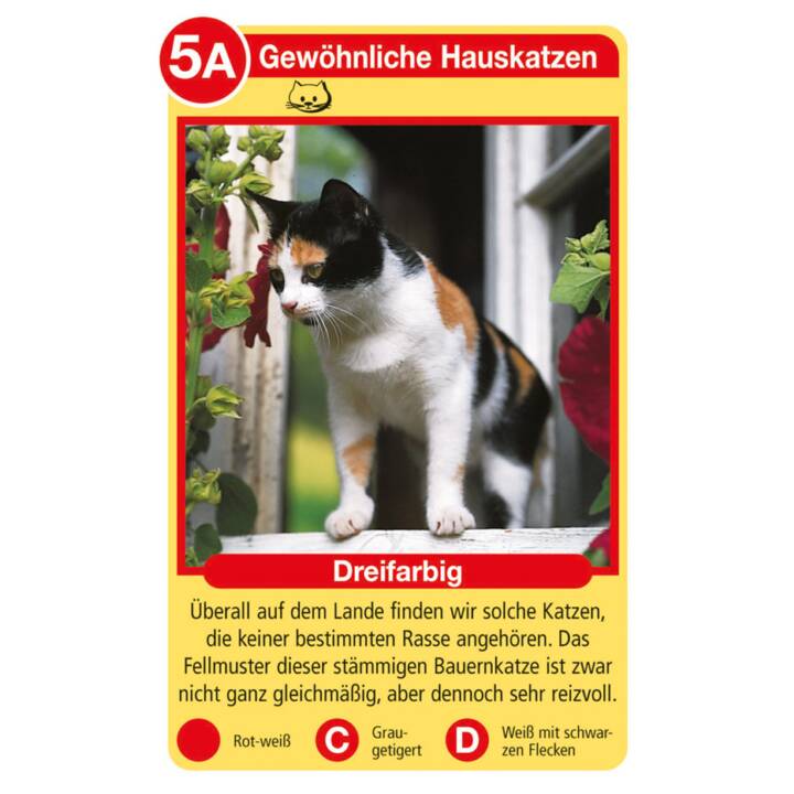 RAVENSBURGER Katzen (DE)
