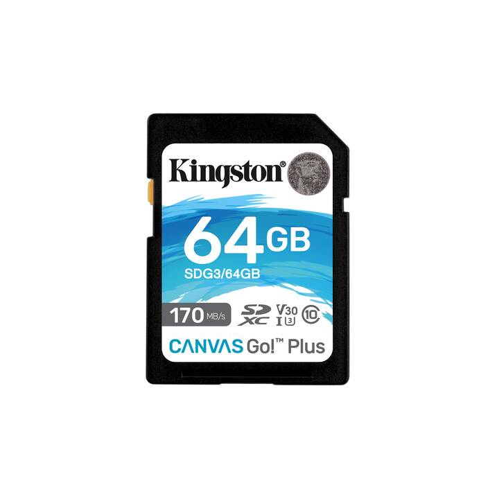 KINGSTON TECHNOLOGY SD Canvas Go! (Class 10, 64 GB, 170 MB/s)
