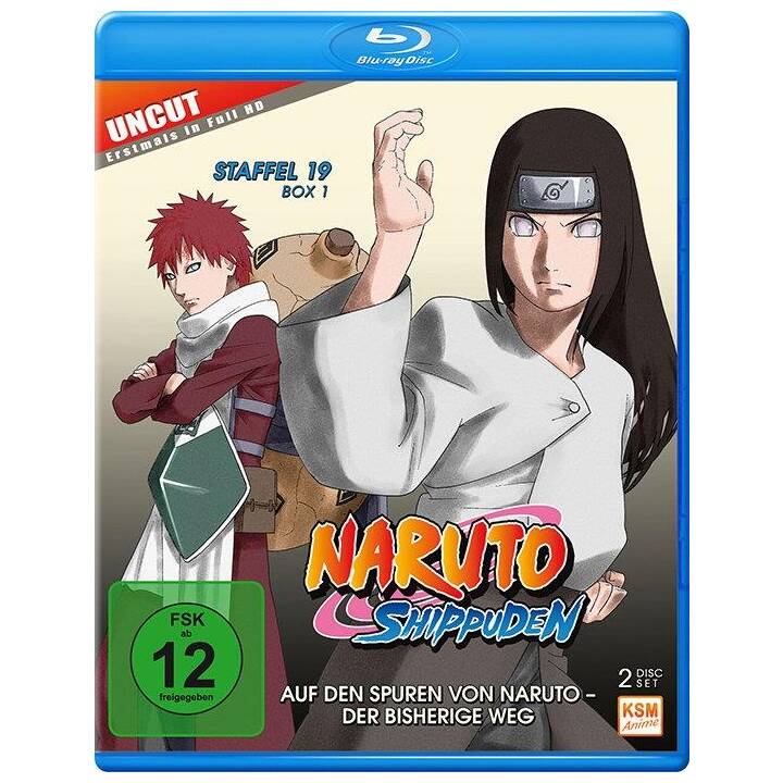 Naruto Shippuden Staffel 19 (Uncut, DE, JA)