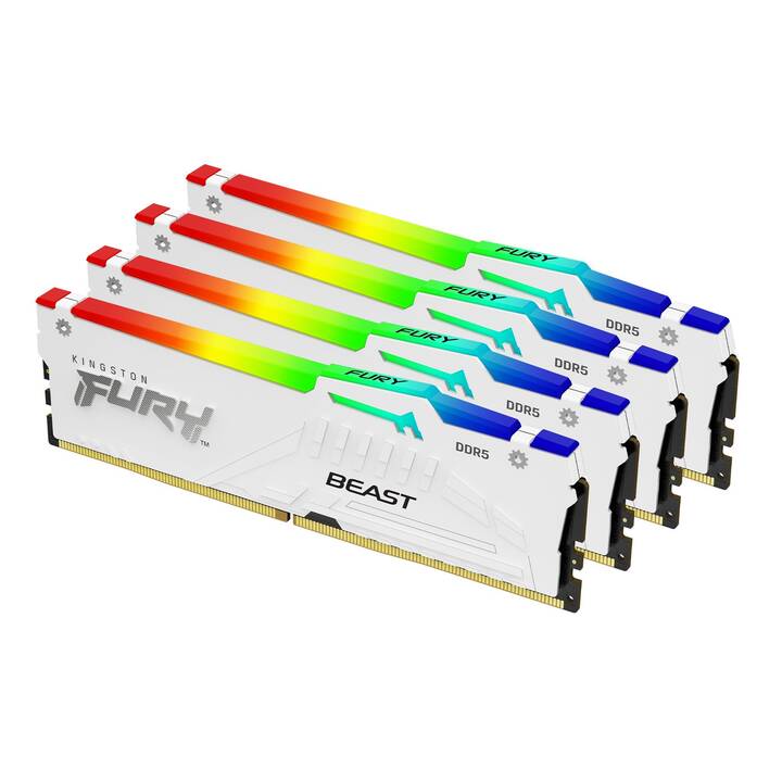 KINGSTON TECHNOLOGY Fury Beast KF556C40BWAK4-128 (4 x 32 GB, DDR5 5600 MHz, DIMM 288-Pin)