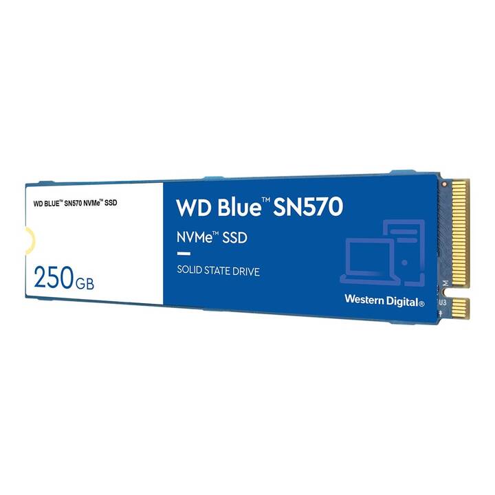 WESTERN DIGITAL SN570 (PCI Express, 250 GB)