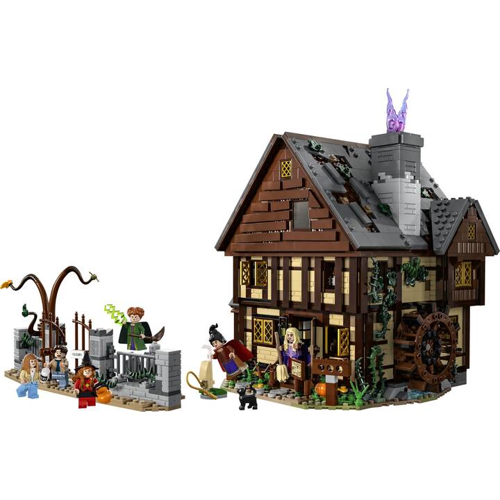 LEGO Disney Hocus Pocus: Das Hexenhaus der Sanderson-Schwestern (21341, seltenes Set)