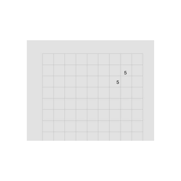 INGOLD-BIWA Foglio di input (A4, Quadrettato, 500 pezzo)