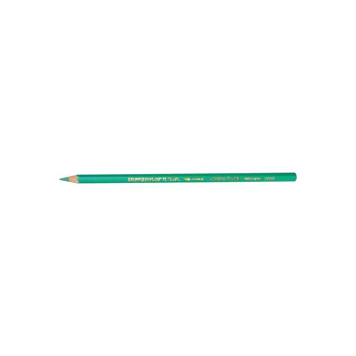 CARAN D'ACHE Crayons de couleur (Vert, 1 pièce)