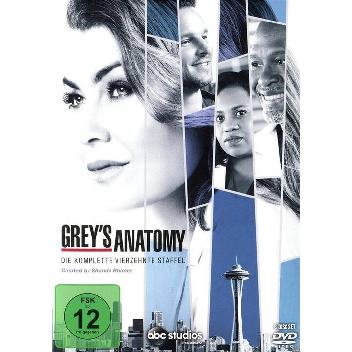 Grey's Anatomy Staffel 14 (DE, EN)