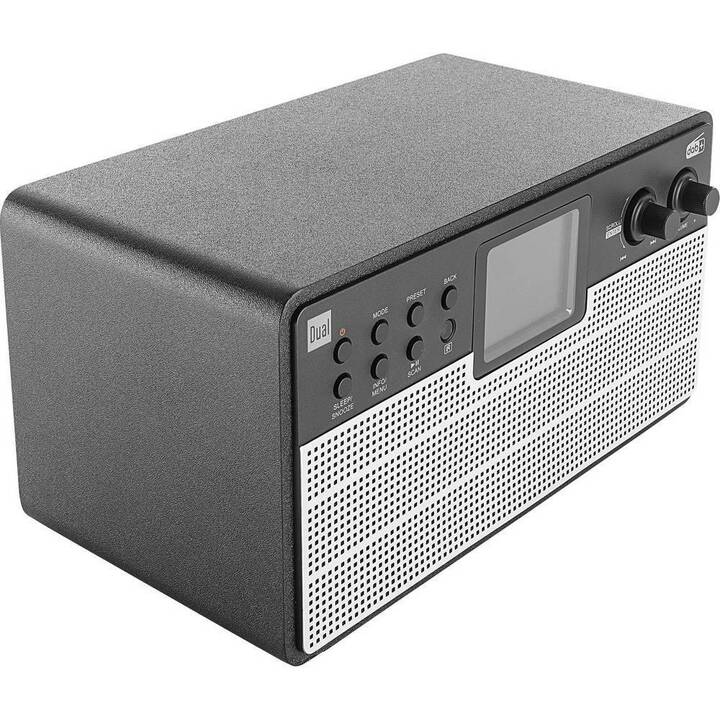 DUAL IR 100 Radio internet (Argento, Nero)