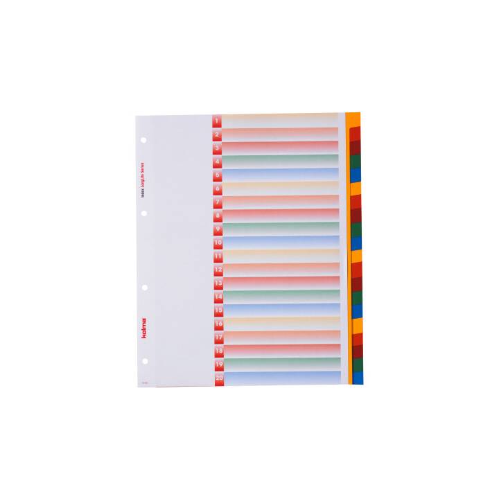 KOLMA LongLife Registro (20 x A4, Coloristico)