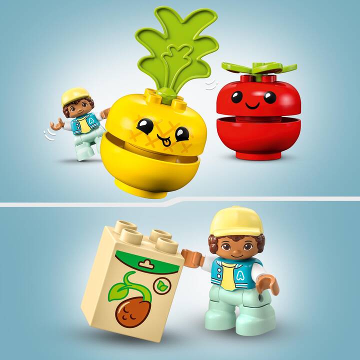 LEGO DUPLO Le tracteur des fruits et légumes(10982)