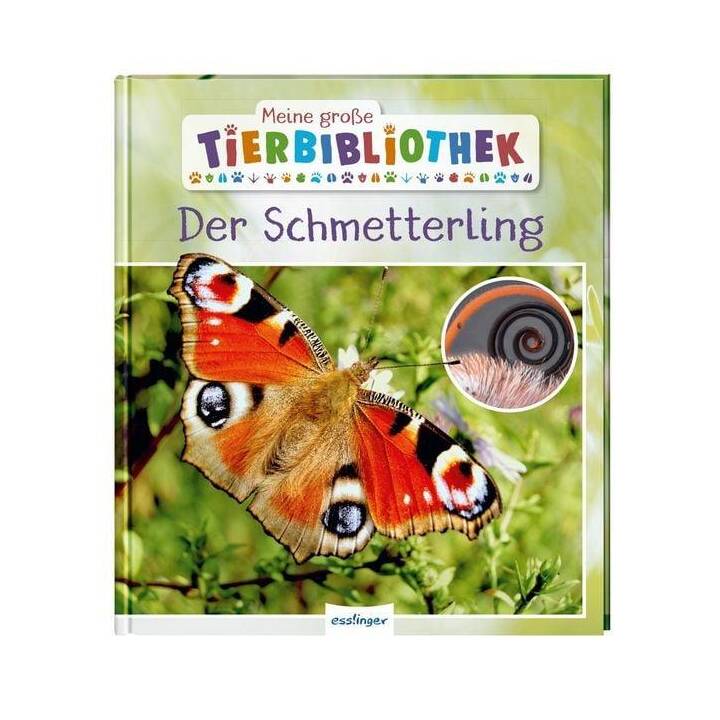Meine grosse Tierbibliothek: Der Schmetterling