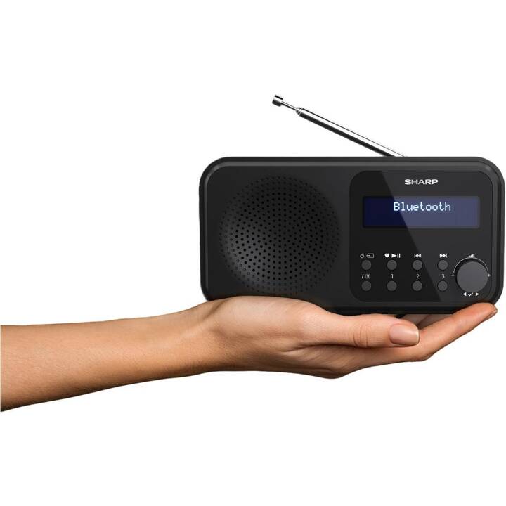 SHARP DR-P420 Digitalradio (Schwarz)