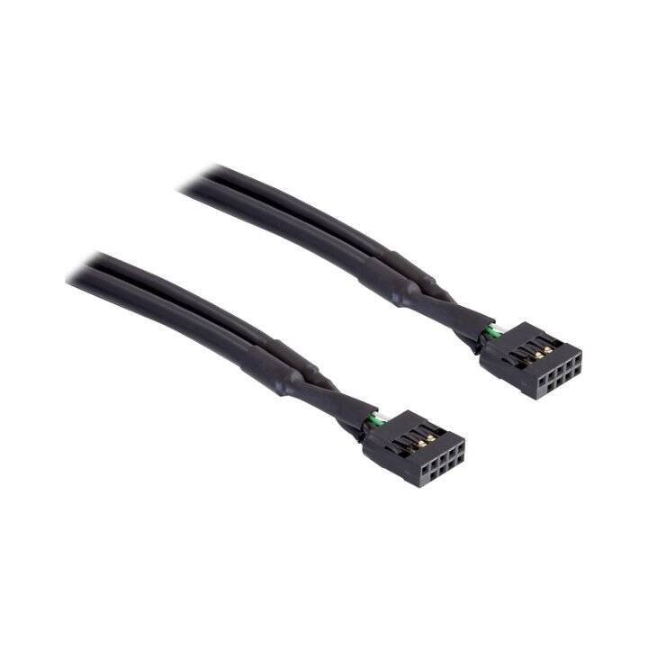 DELOCK USB-Kabel (USB-Pinheader, USB 2.0, 50 cm)