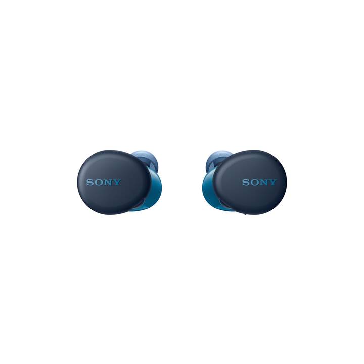 SONY WF-XB700 (In-Ear, Bluetooth 5.0, Blau)