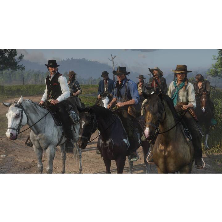 Red Dead Redemption 2 (DE)