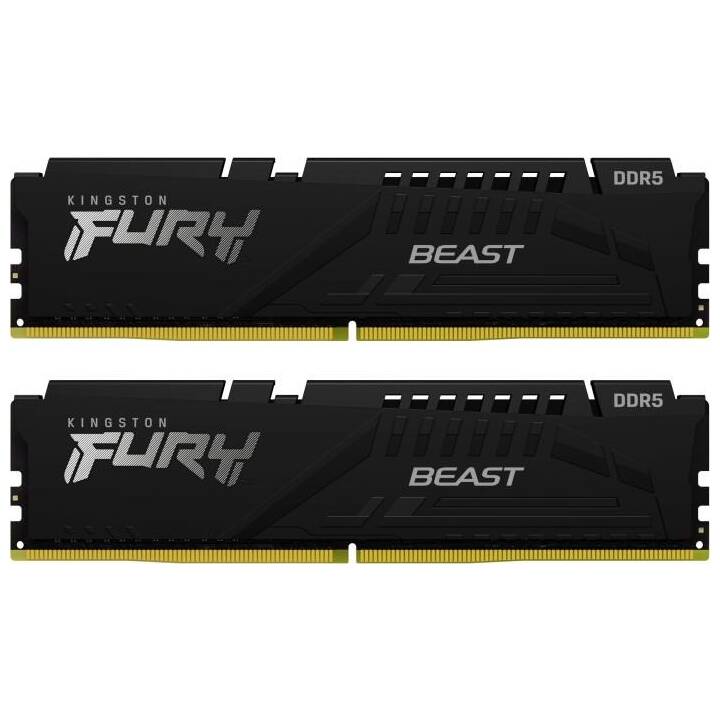 KINGSTON TECHNOLOGY Fury Beast KF556C36BBEK2-16 (2 x 8 GB, DDR5 5600 MHz, DIMM 288-Pin)